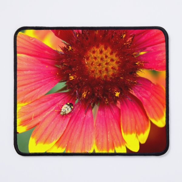 Item preview, Gaillardia designed and sold by Susie Kramer.