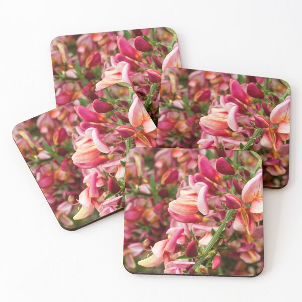 Item preview, Red Broom flowers in bloom designed and sold by cofiant.