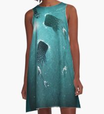 The Serenade v2 A-Line Dress