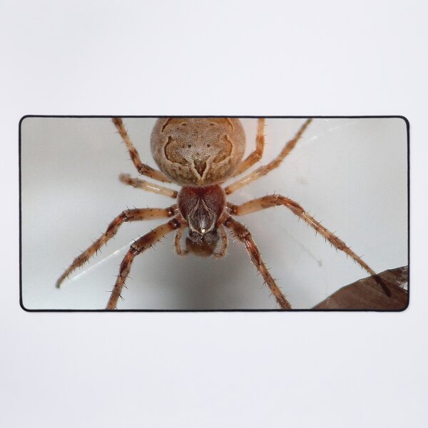 Item preview, Spider on my Garage designed and sold by Susie Kramer.