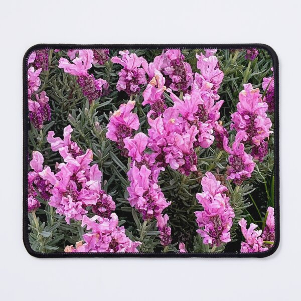 Item preview, Plenty of Pink Petals designed and sold by KazM.
