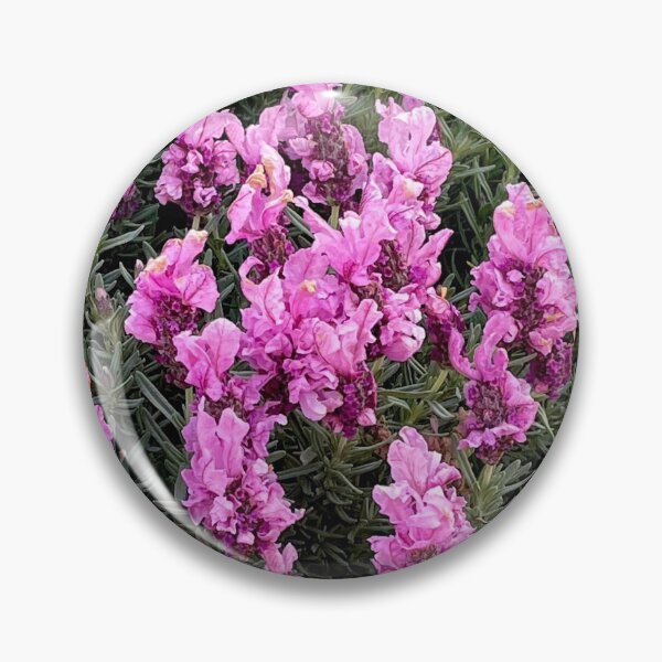 Item preview, Plenty of Pink Petals designed and sold by KazM.