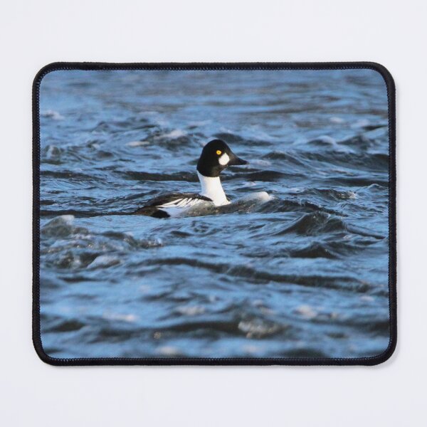 Item preview, Goldeneye Duck designed and sold by Susie Kramer.