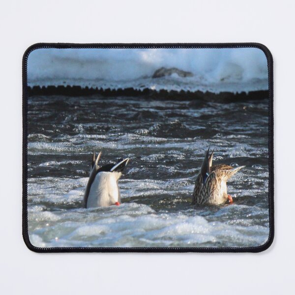 Item preview, Bottoms UP! designed and sold by Susie Kramer.