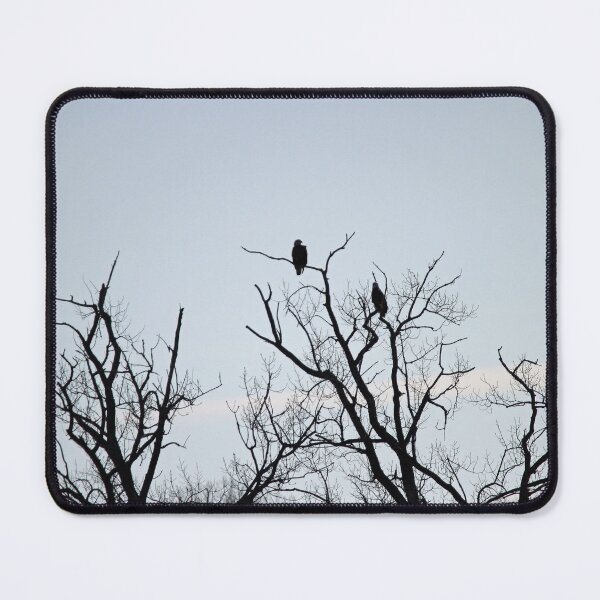 Item preview, Pair of Bald Eagles keeping watch designed and sold by Susie Kramer.