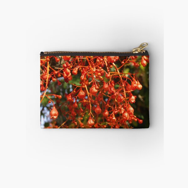 Item preview, Illawarra Flame Tree - Drouin, Gippsland, Australia designed and sold by Bev Pascoe.