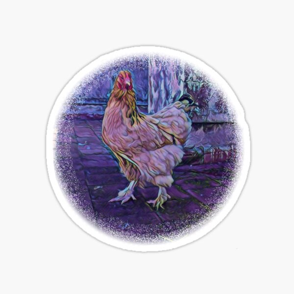 &ldquo;Brahma chicken picture&rdquo; Sticker for Sale by Nadey | Redbubble