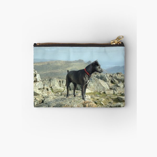 Item preview, Tarn the Terrier... on Allen Crags designed and sold by Jamie  Green.
