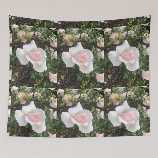 Item preview, Barely Blush designed and sold by KazM.