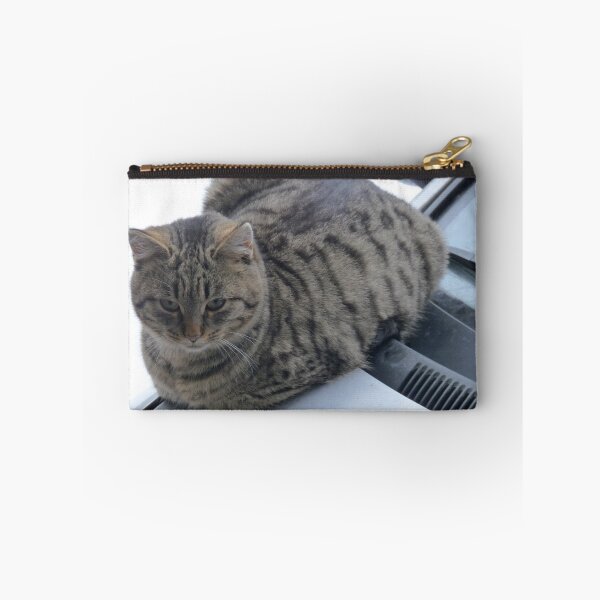 Artikelvorschau, Cat Comfort in Cold Climate entworfen und verkauft von HELUA.