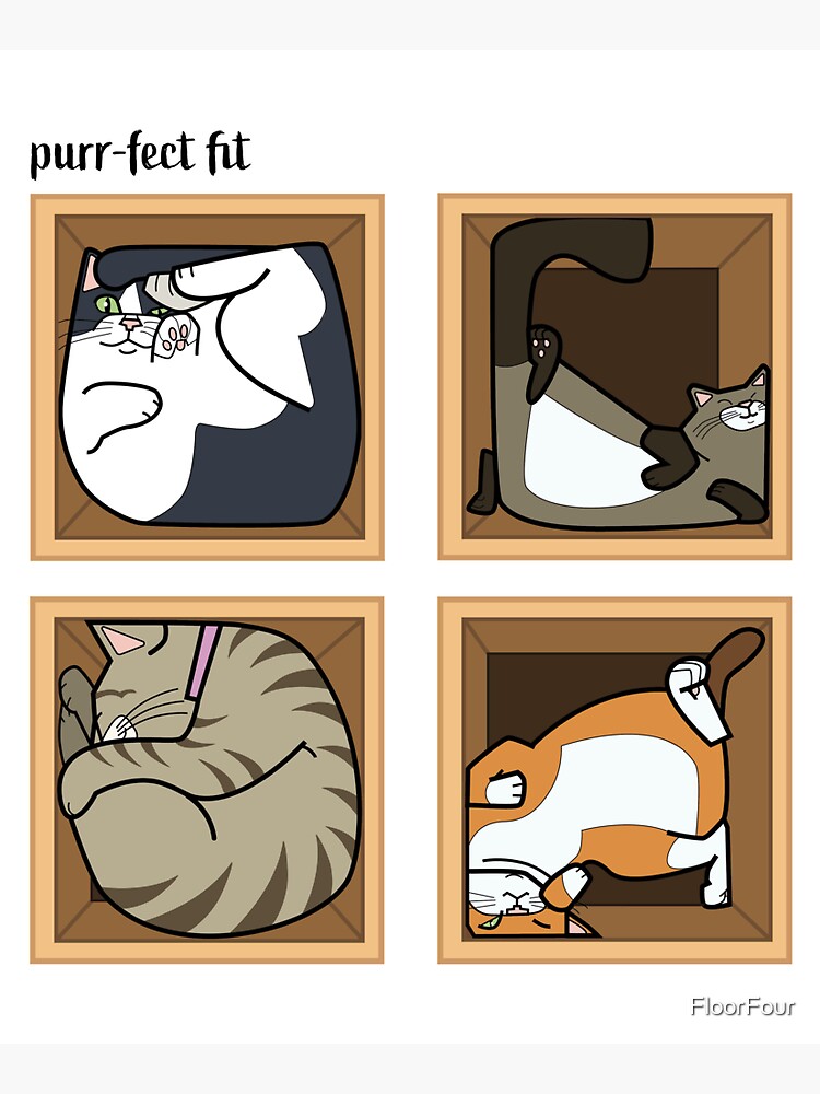 Cats in a funny pose by FloorFour