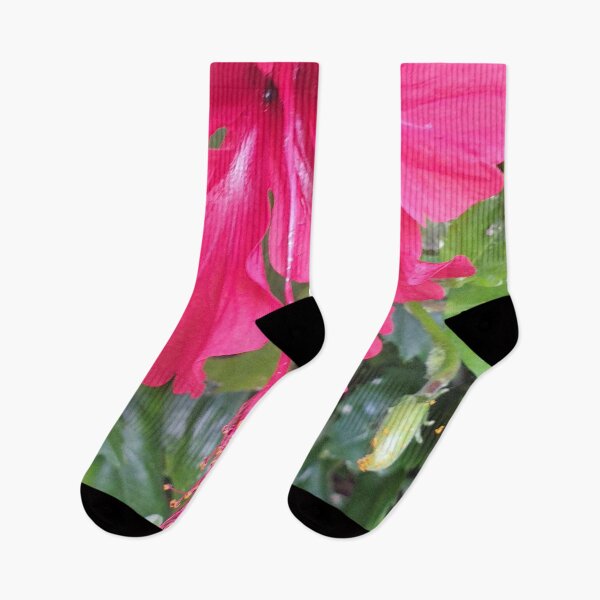 Item preview, Beautiful Pink Hibiscus Flowering Plant designed and sold by Bennymp.