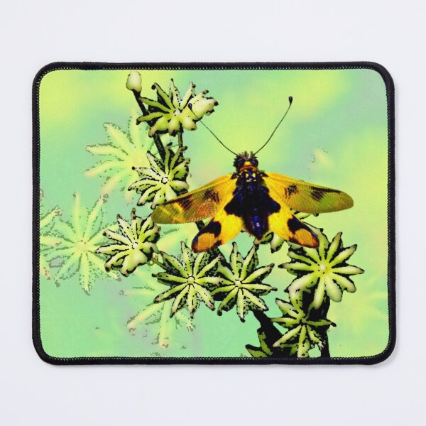 Item preview, Dragonfly designed and sold by Czerra.