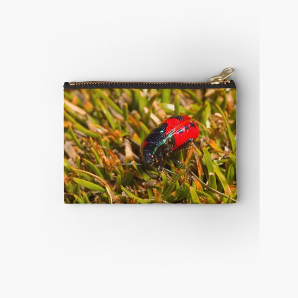 Item preview, Harlequin Bug designed and sold by Colin  Ewington.