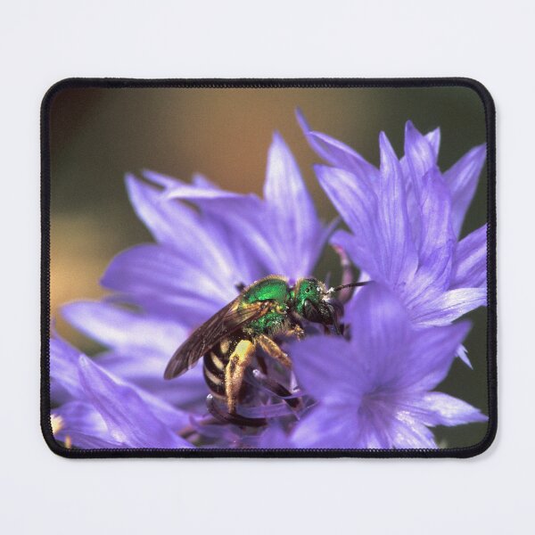 Item preview, Bee on a Button designed and sold by Bill Spengler's Photographic Thoughts.
