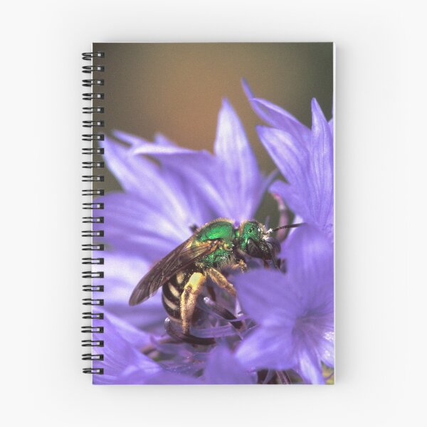Item preview, Bee on a Button designed and sold by Bill Spengler's Photographic Thoughts.