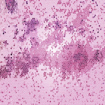 Artwork thumbnail, Cosmos Raspberry by rum1757