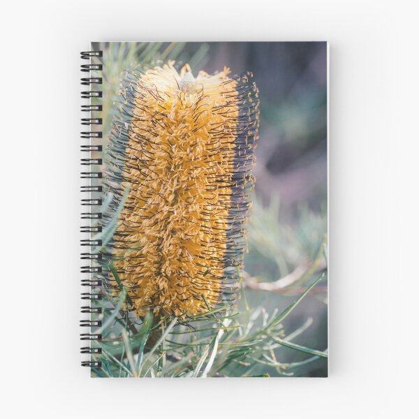 Item preview, bottlebrush designed and sold by karenanderson.