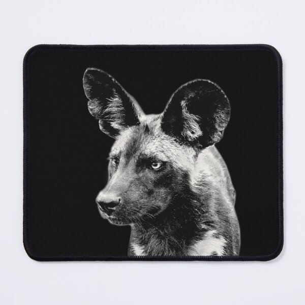 Item preview, Wild Dog Close-Up African Wildlife designed and sold by Scotch Macaskill.