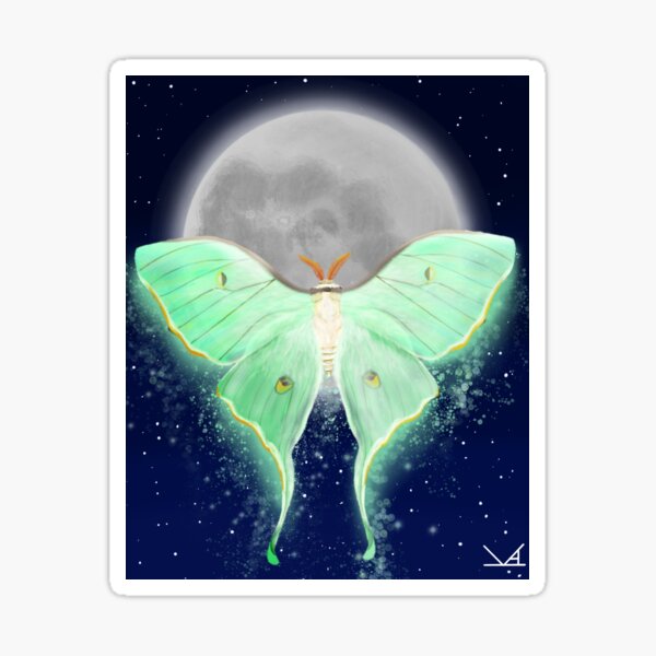 Luna Moth Sticker — Kat Weber Art