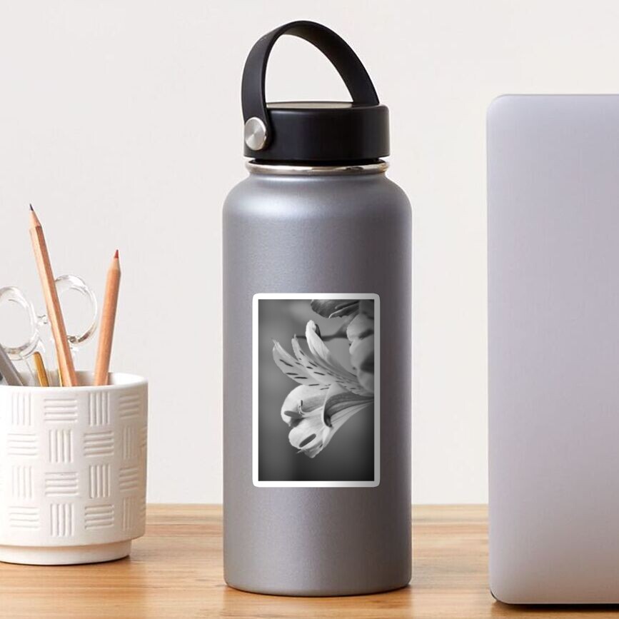 Peruvian lily Sticker
