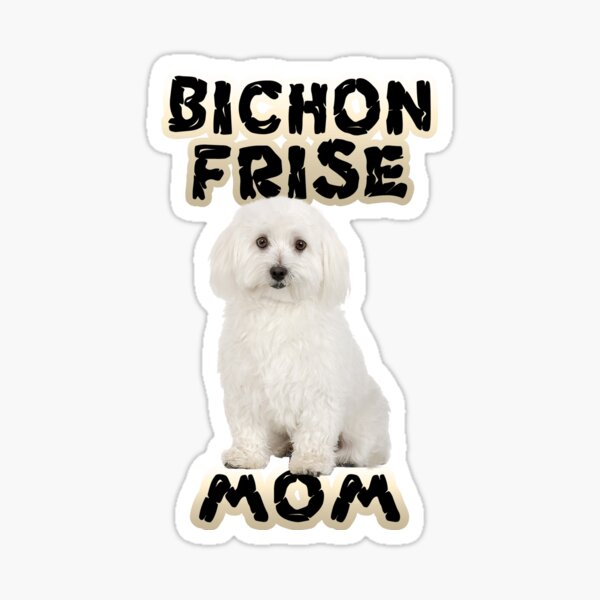 bichon frise stuff