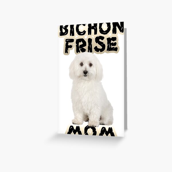 Carte Joyeux Anniversaire  Bichon  Frise Chien Rouge Et Bl 