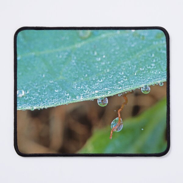 Item preview, Cabbage Leaf Dew designed and sold by Bill Spengler's Photographic Thoughts.