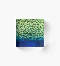 Peacock Acrylic Block