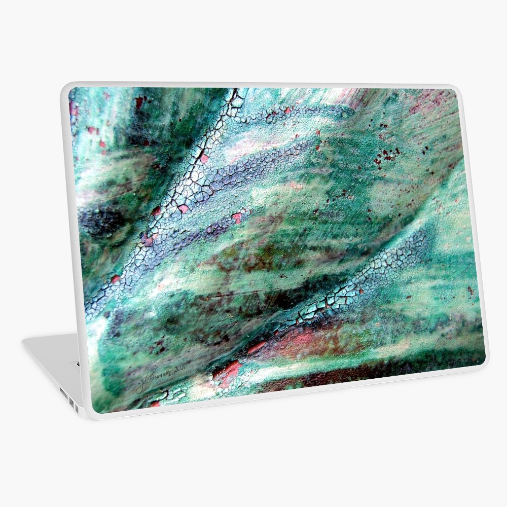 Patena of Ceylon Laptop Skin