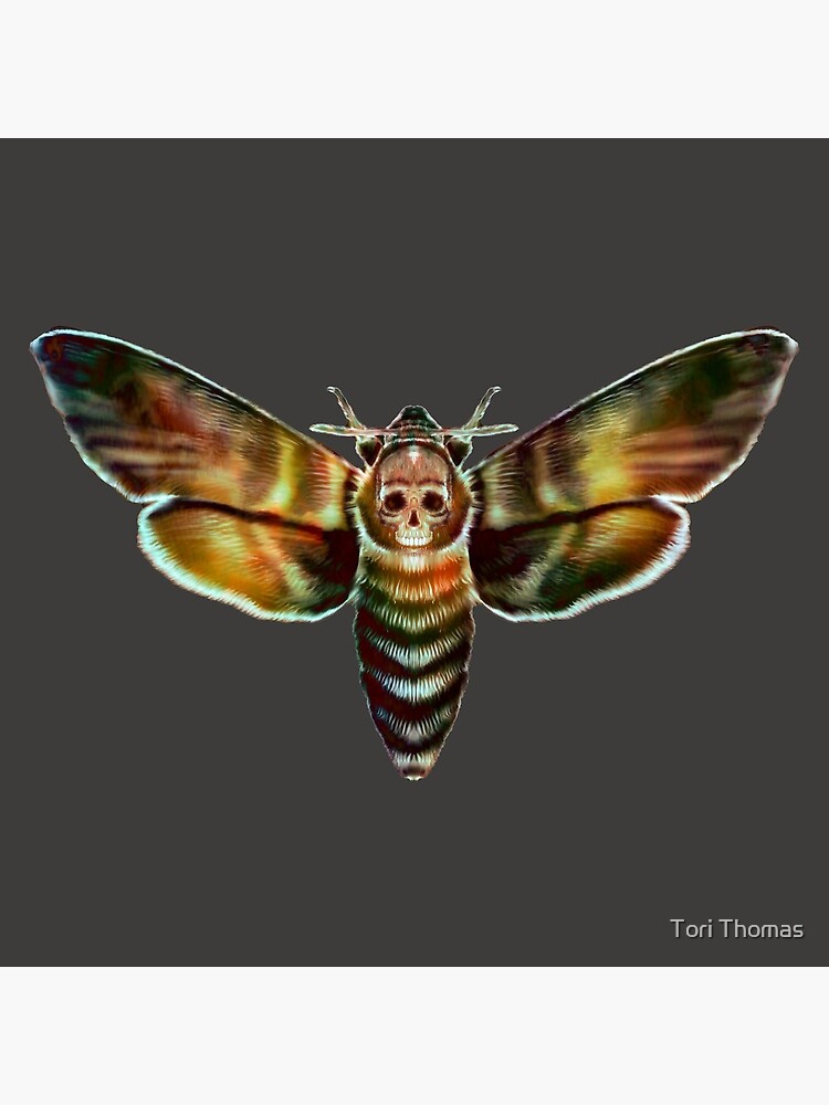 Death Moth by IrotTori