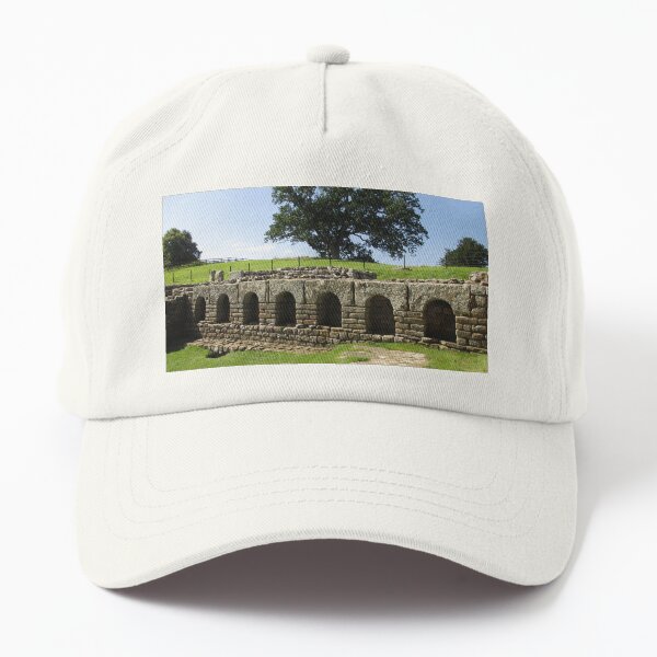 M.I. #113 |☼| The Changing Hall - Shot 2 (Hadrian's Wall) Dad Hat