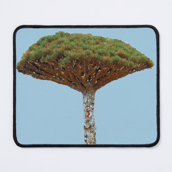 Item preview, Exotic Dragon's Blood Tree  Dracaena Socotra Island, Yemen designed and sold by worldways.