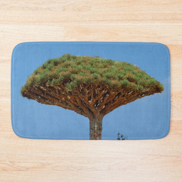 Item preview, Exotic Dragon's Blood Tree  Dracaena Socotra Island, Yemen designed and sold by worldways.