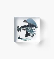 Bloque acrílico Lugia usó surf