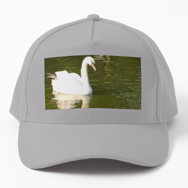 M.I. #55 |☼| Swan - Shot 13 (Pearson Park) Baseball Cap