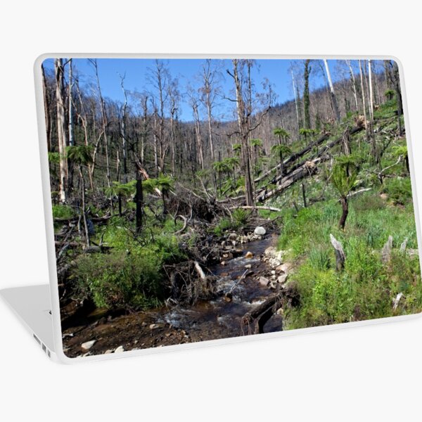 Item preview, Commemoration designed and sold by William Bullimore.