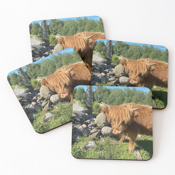 Item preview, Scottish Highland Cattle Calf 2897 designed and sold by SaarelaHighland.