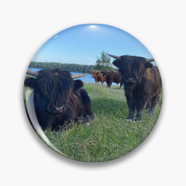 Artikelvorschau, Scottish Highland Cattle Calves 2898 entworfen und verkauft von SaarelaHighland.