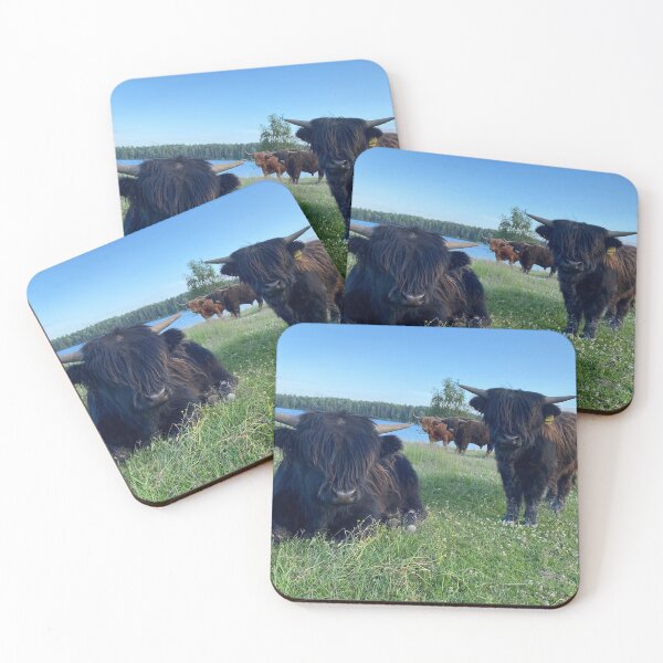 Item preview, Scottish Highland Cattle Calves 2898 designed and sold by SaarelaHighland.