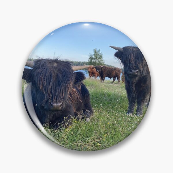 Artikelvorschau, Scottish Highland Cattle Calves 2899 entworfen und verkauft von SaarelaHighland.