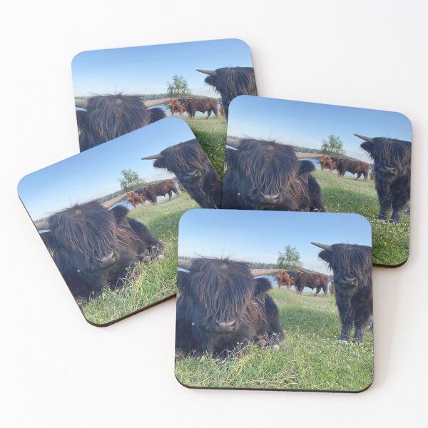 Item preview, Scottish Highland Cattle Calves 2899 designed and sold by SaarelaHighland.