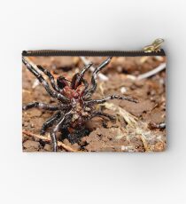 Funnel-web spider Studio Pouch