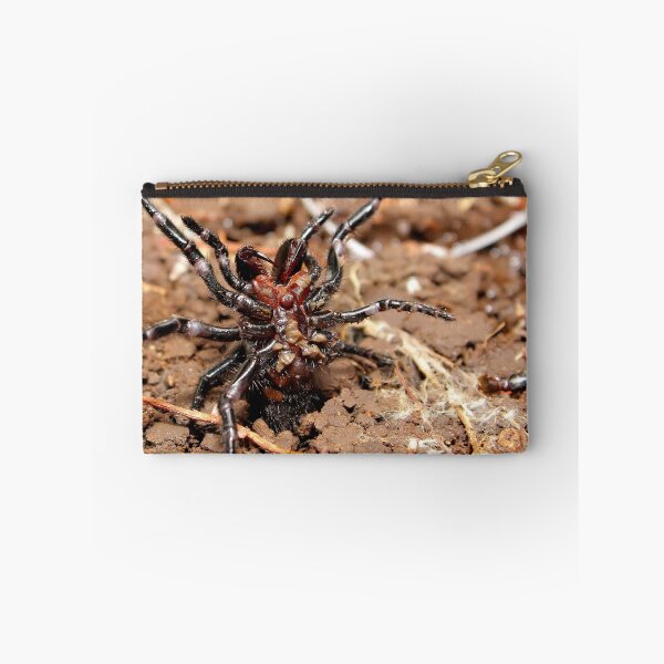Artikelvorschau, Funnel-web spider entworfen und verkauft von mattduncan.