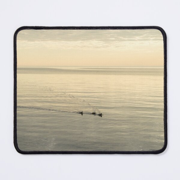Item preview, Soft Breeze and Pearly Ripples - a Trio of Ducks on a Lake designed and sold by Georgia Mizuleva.