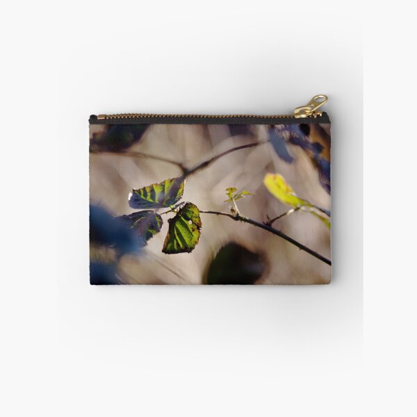 Item preview.