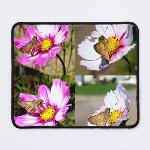 Item preview, Skippers Collage  designed and sold by AmandaFaye99.