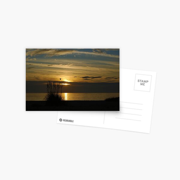 Item preview, Seagull Sunset designed and sold by Ben Waggoner.