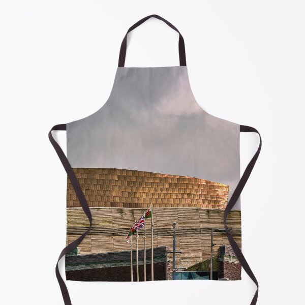 Item preview, Wales Millennium Centre, Cardiff Bay designed and sold by VnGphoto.