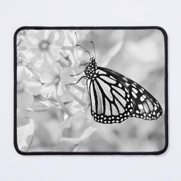 Item preview, Monarch in monochrome designed and sold by Laurie Minor.